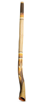 Heartland Didgeridoo (HD378)